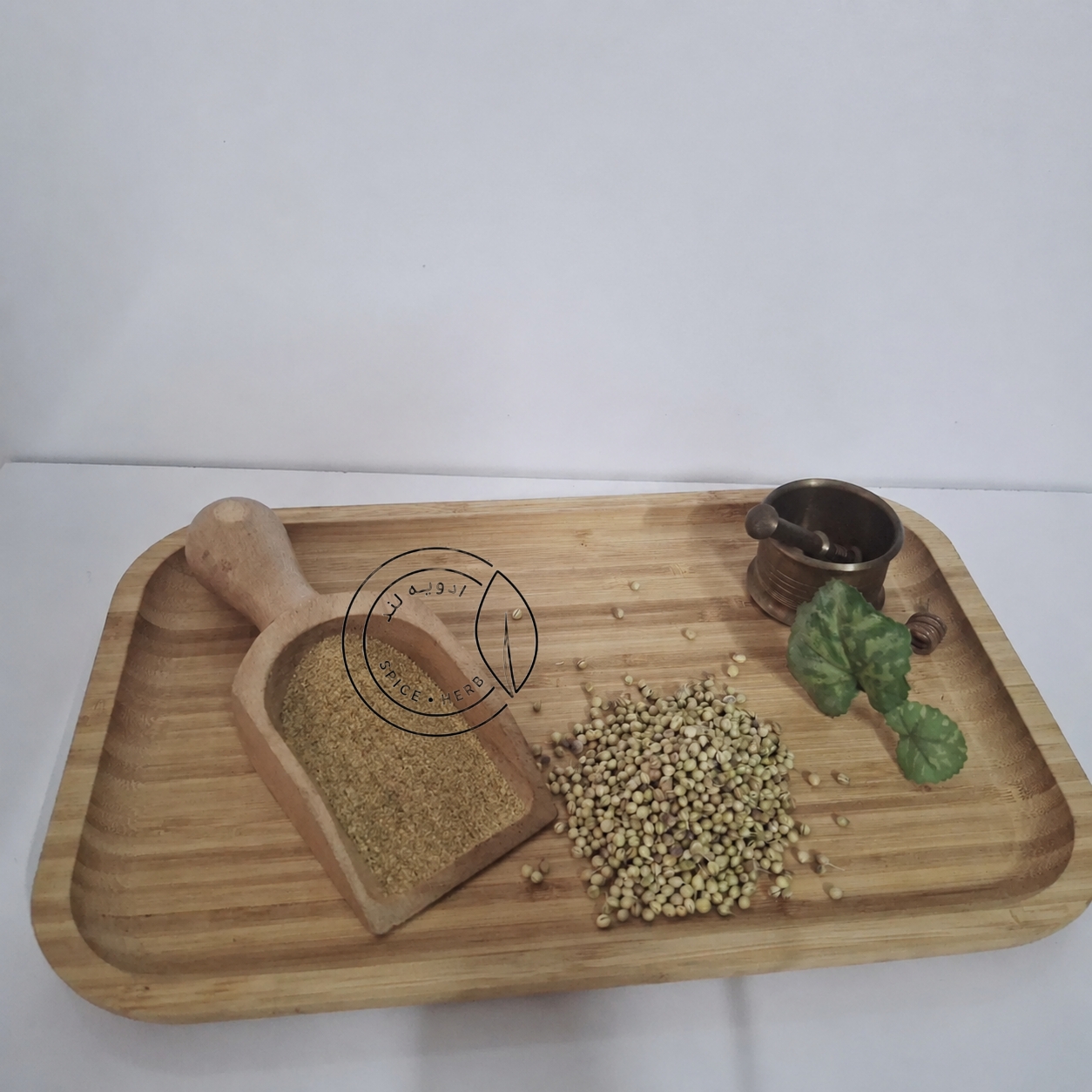 پودر تخم گشنیز